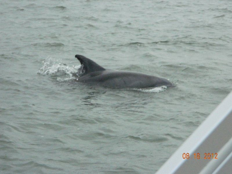 DSCN2144.JPG
