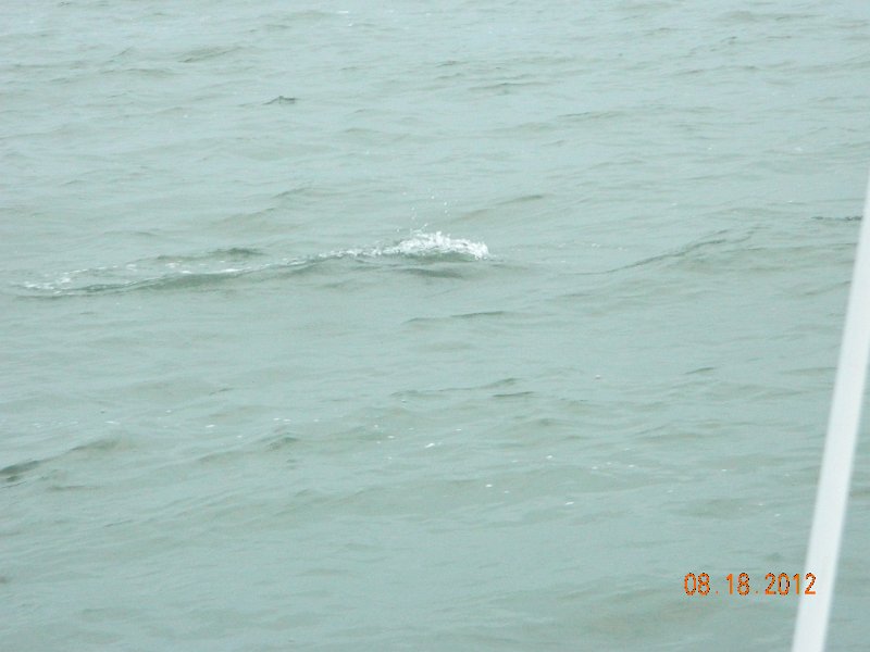 DSCN2146.JPG