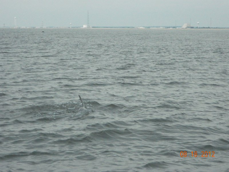 DSCN2149.JPG