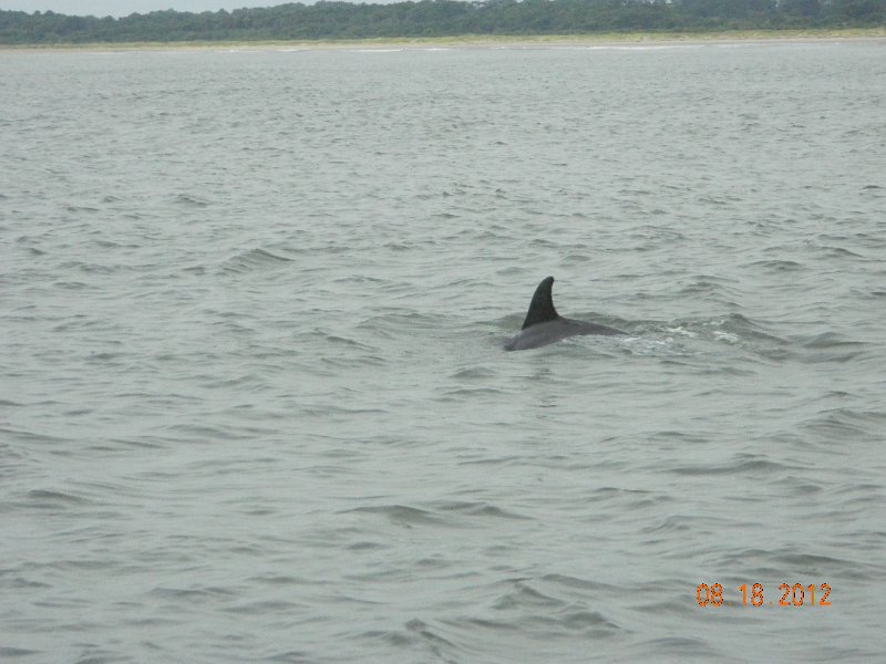DSCN2151.JPG