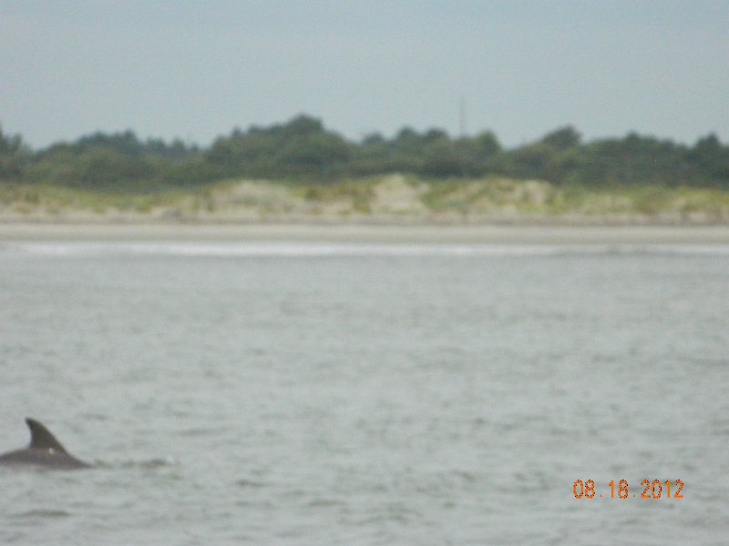 DSCN2155.JPG