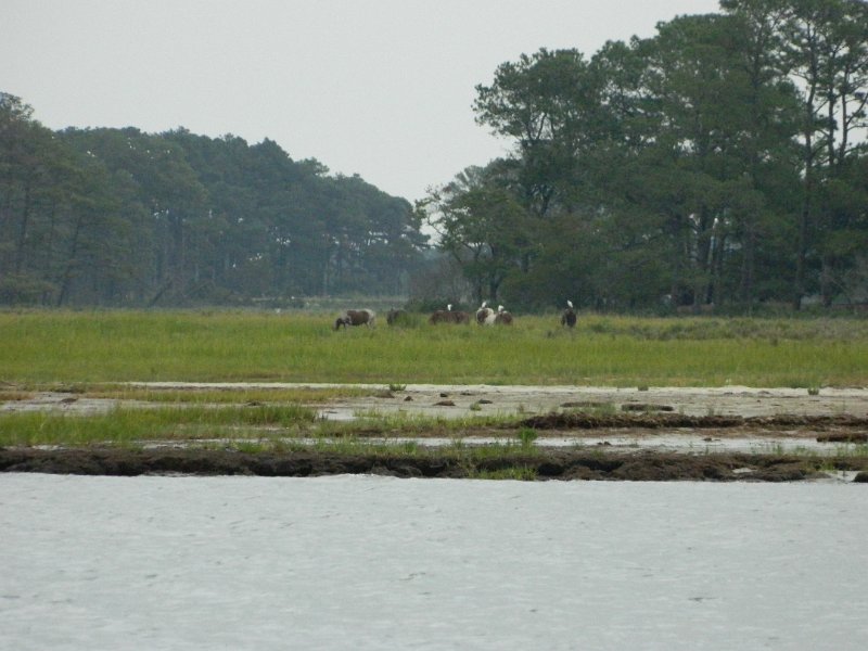 DSCN2170.JPG