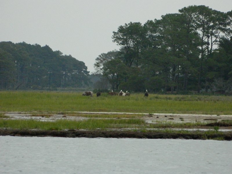 DSCN2171.JPG