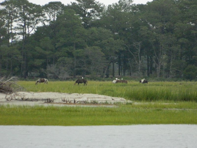DSCN2174.JPG