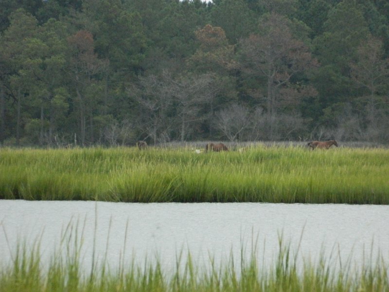 DSCN2175.JPG