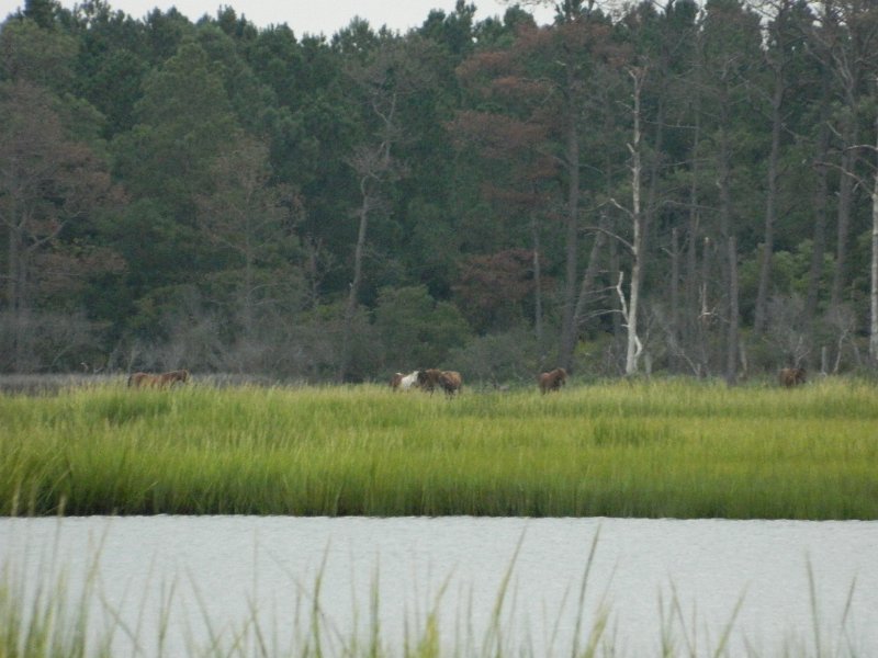 DSCN2176.JPG