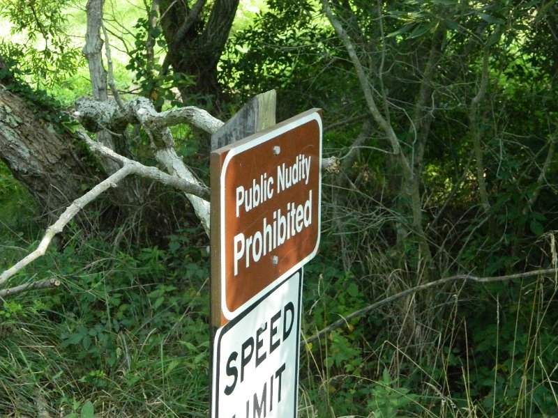 DSCN2203.JPG