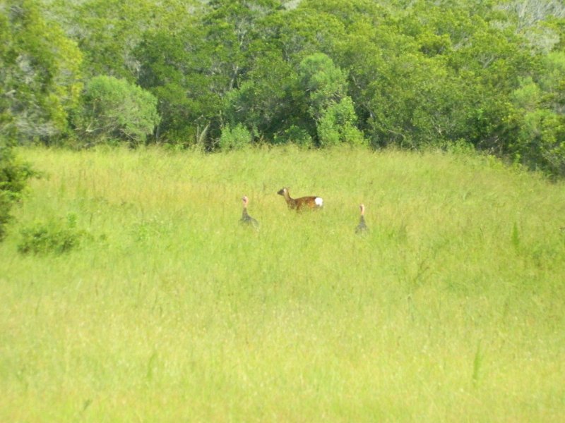 DSCN2205.JPG