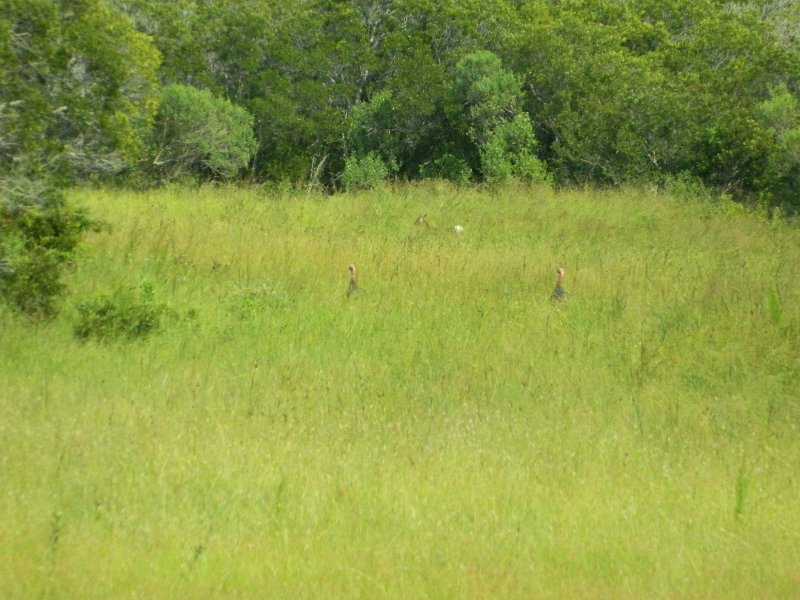 DSCN2206.JPG