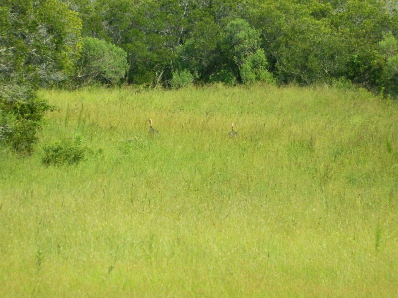 DSCN2207.JPG