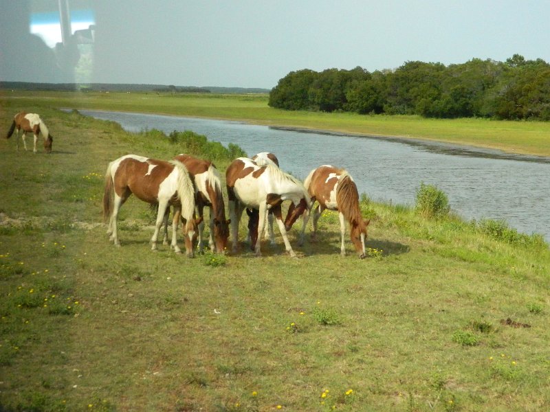 DSCN2210.JPG