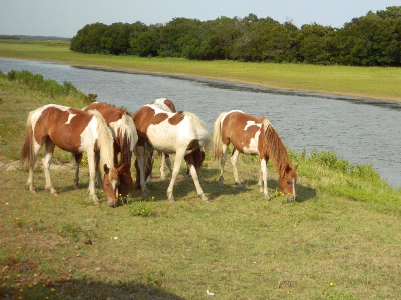 DSCN2211.JPG