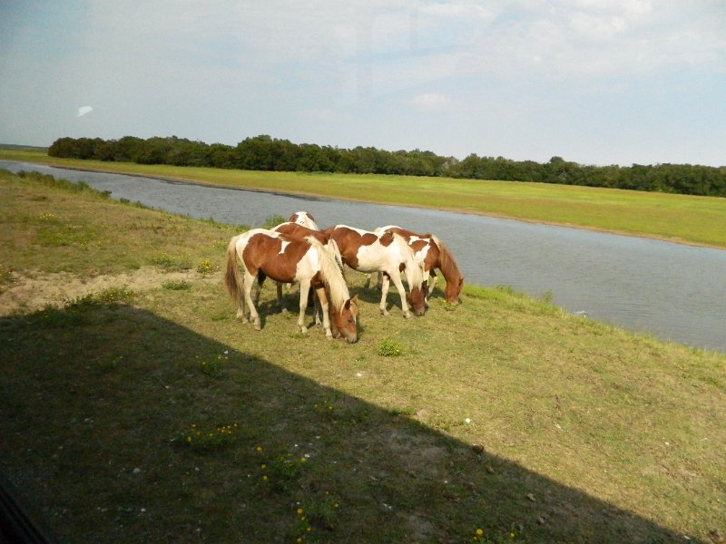 DSCN2213.JPG