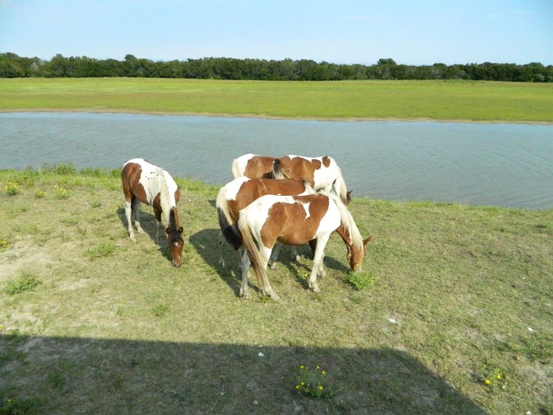 DSCN2214.JPG