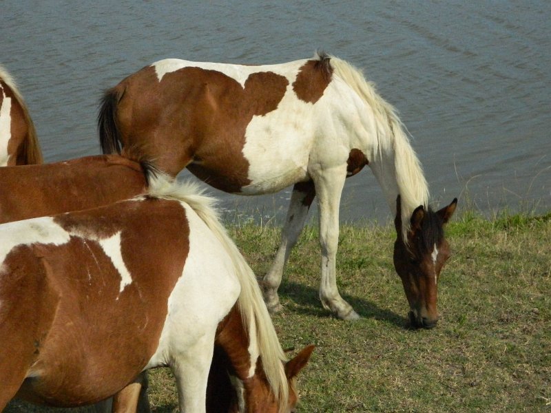 DSCN2217.JPG