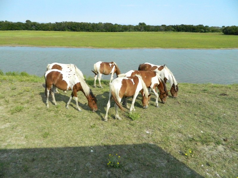 DSCN2219.JPG