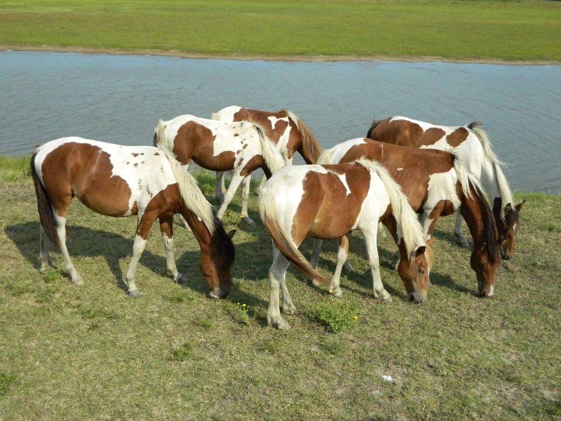 DSCN2220.JPG