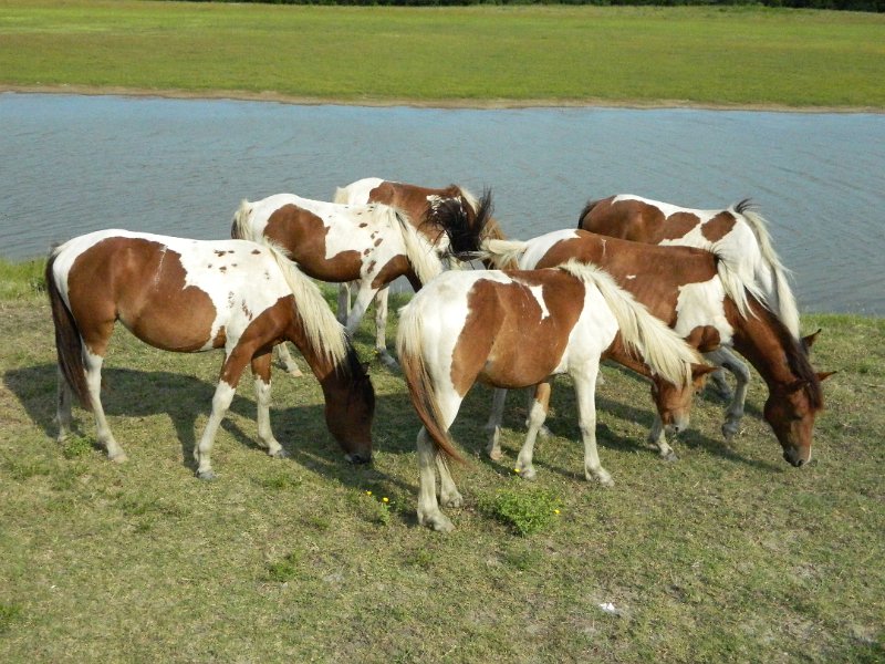 DSCN2221.JPG