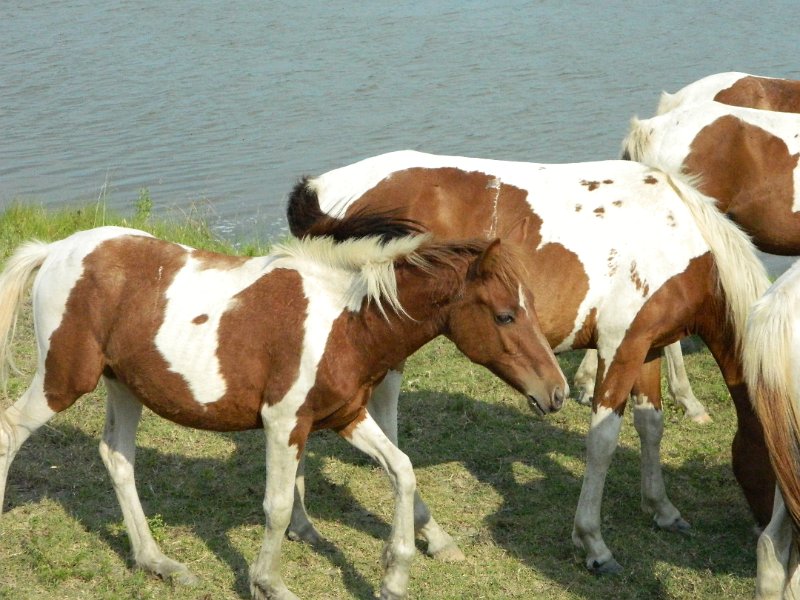 DSCN2226.JPG
