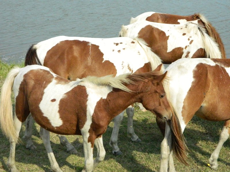 DSCN2227.JPG