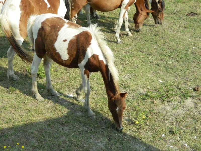 DSCN2228.JPG