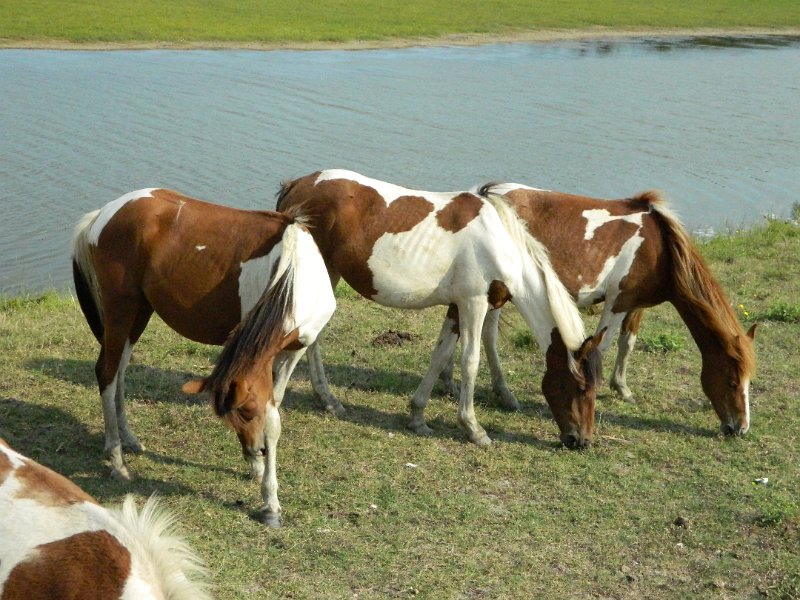 DSCN2235.JPG