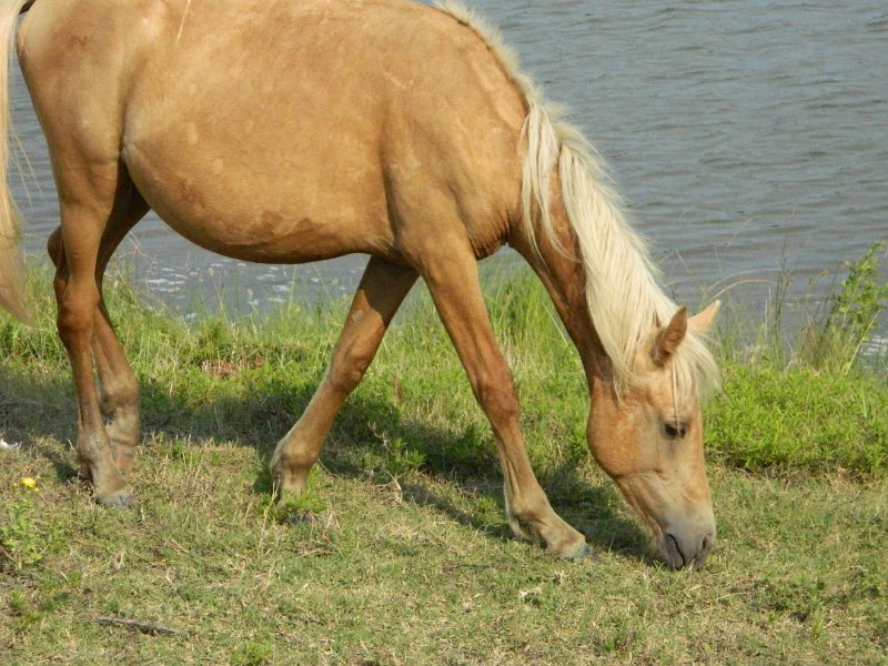 DSCN2238.JPG