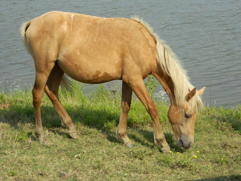 DSCN2239.JPG