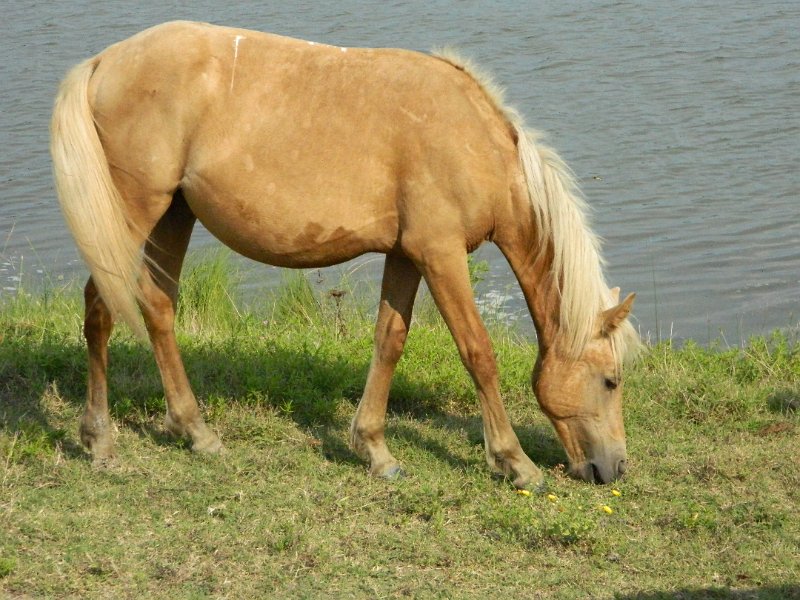DSCN2243.JPG