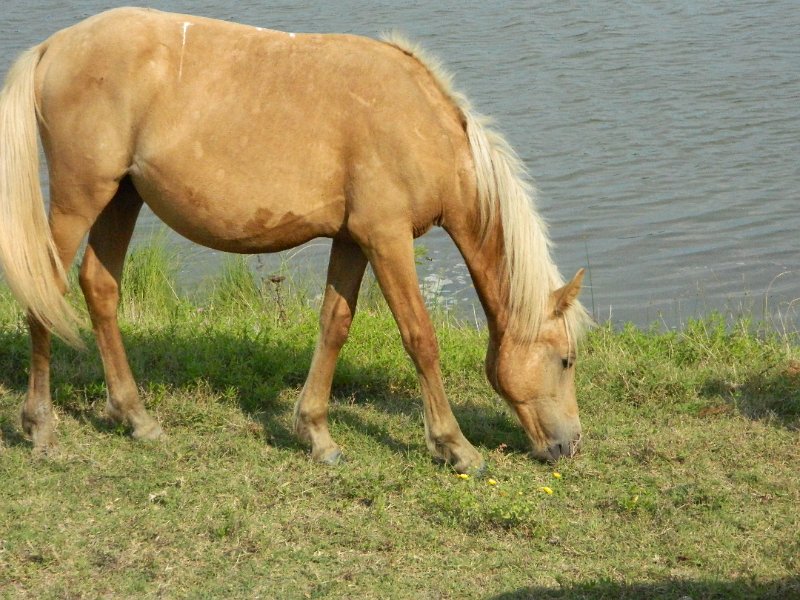 DSCN2244.JPG