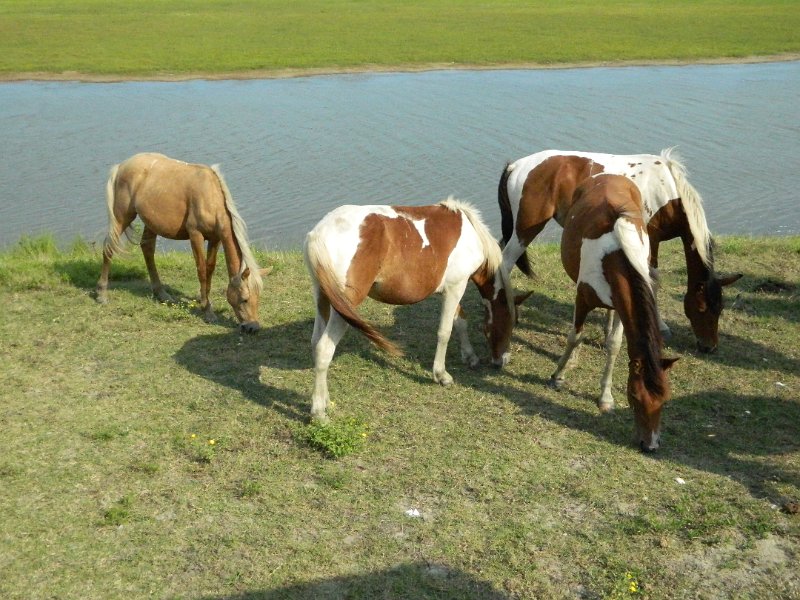 DSCN2245.JPG