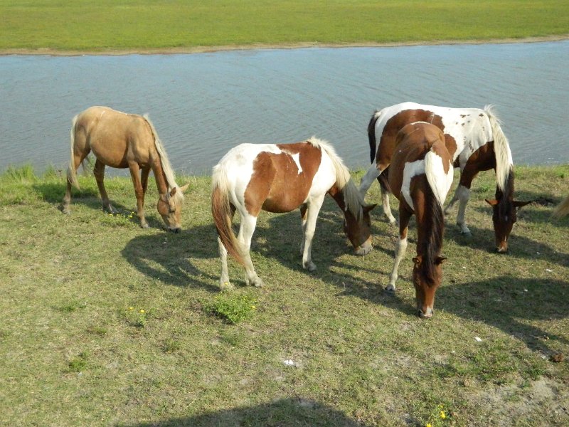 DSCN2246.JPG