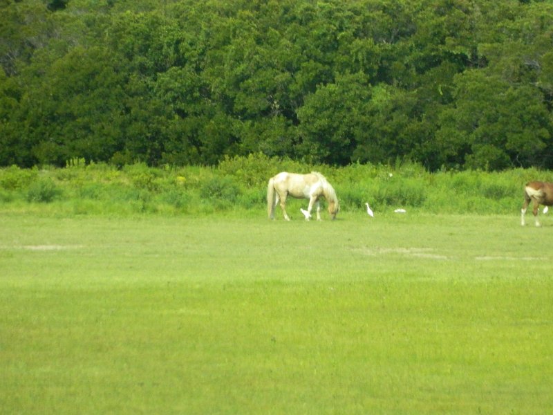 DSCN2248.JPG