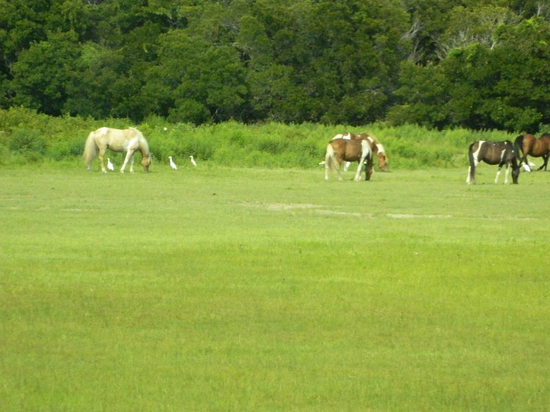 DSCN2249.JPG