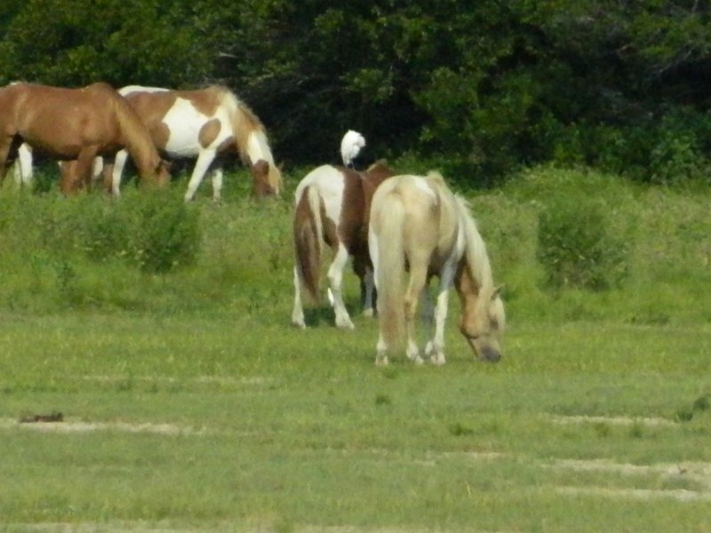 DSCN2255.JPG