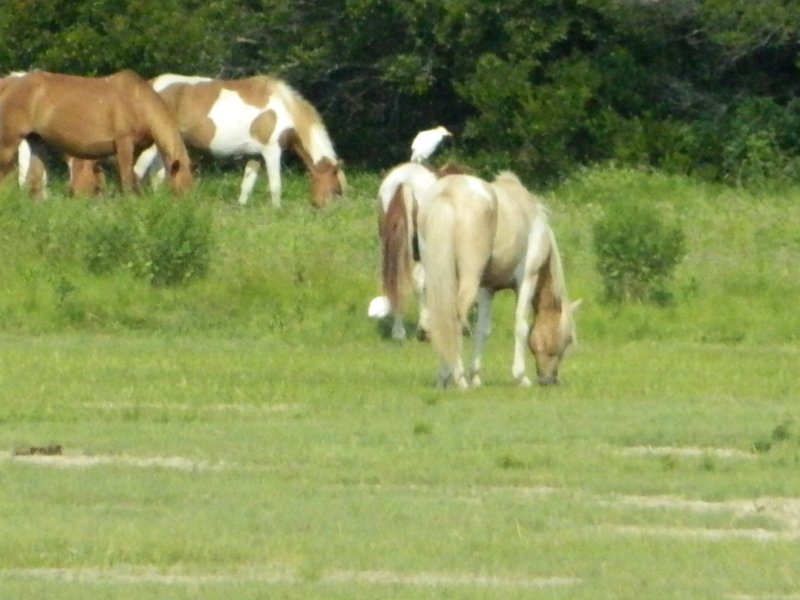 DSCN2256.JPG