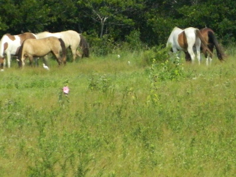 DSCN2258.JPG