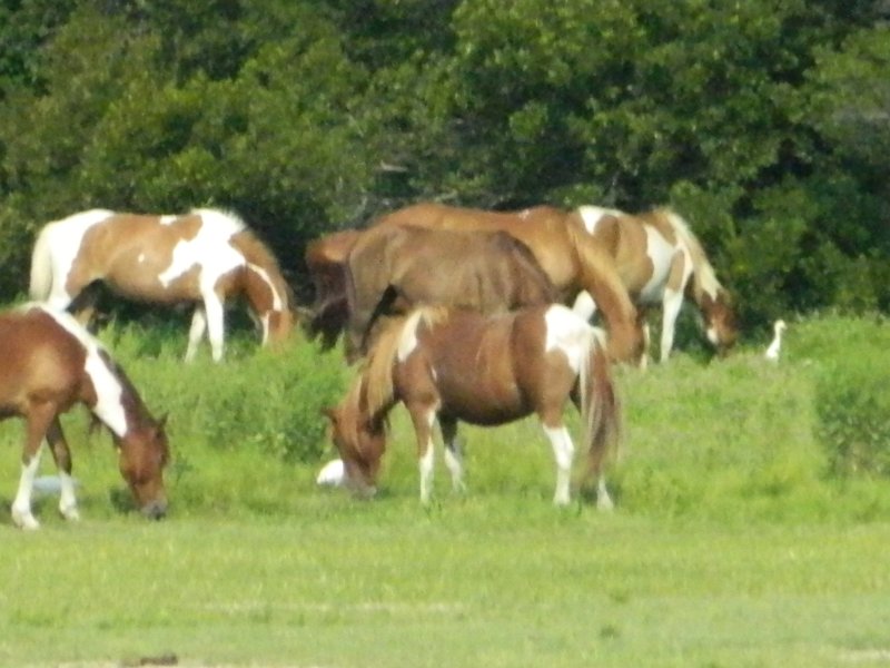 DSCN2259.JPG