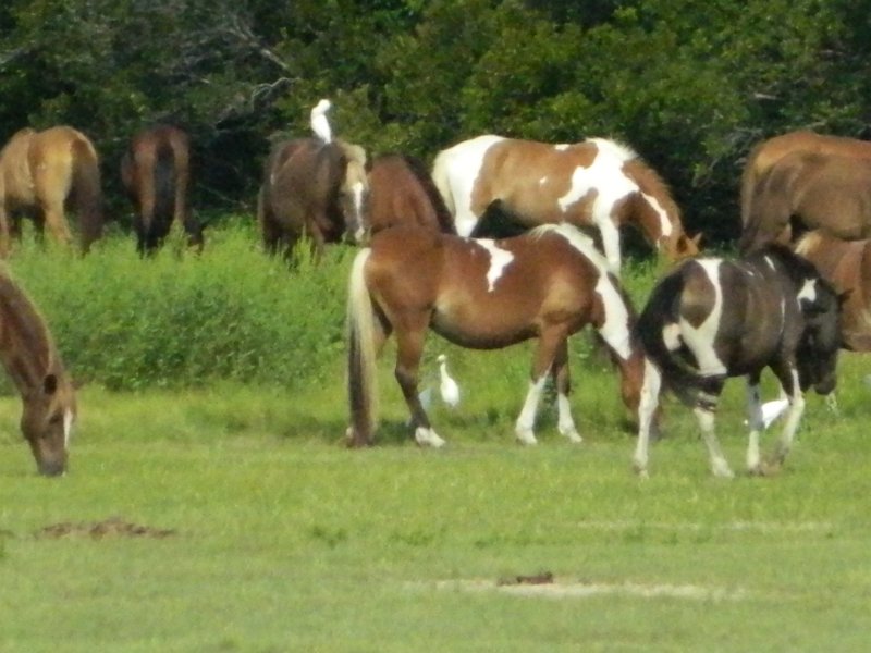 DSCN2262.JPG