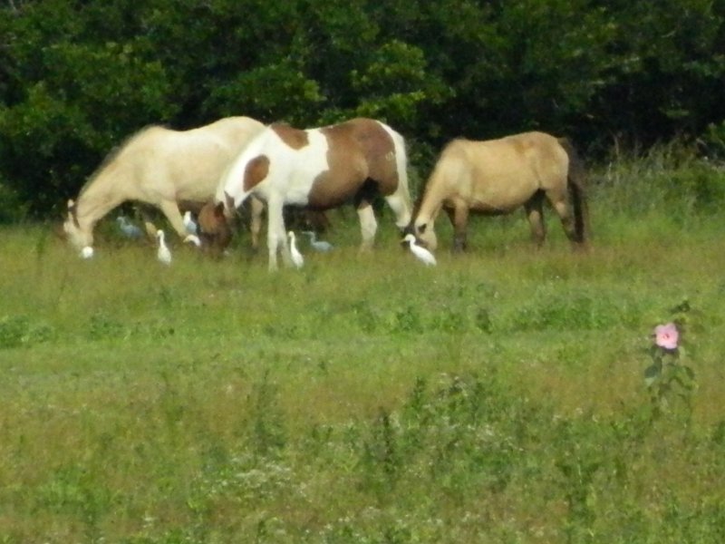 DSCN2263.JPG