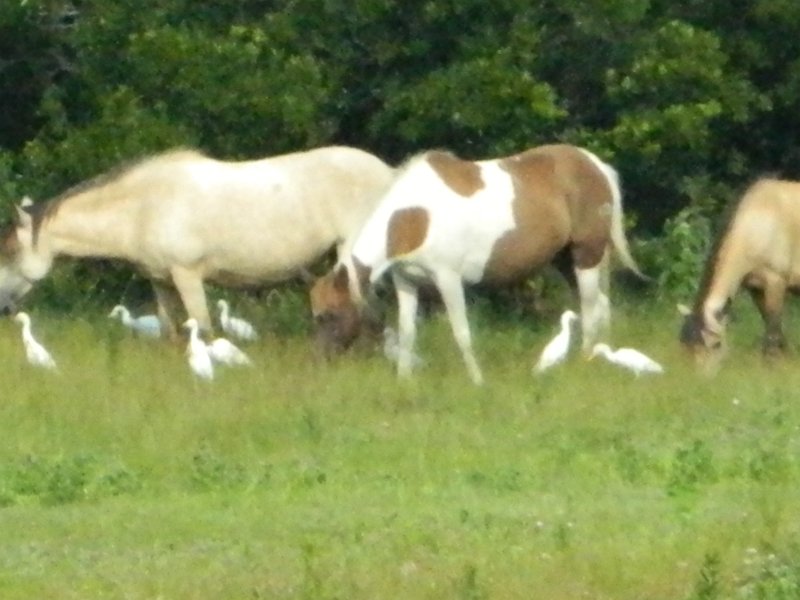 DSCN2264.JPG