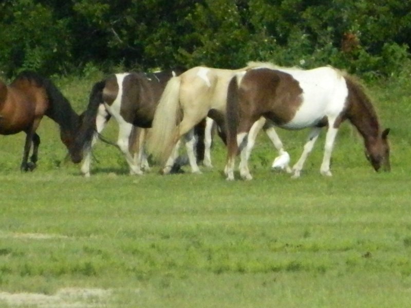 DSCN2265.JPG