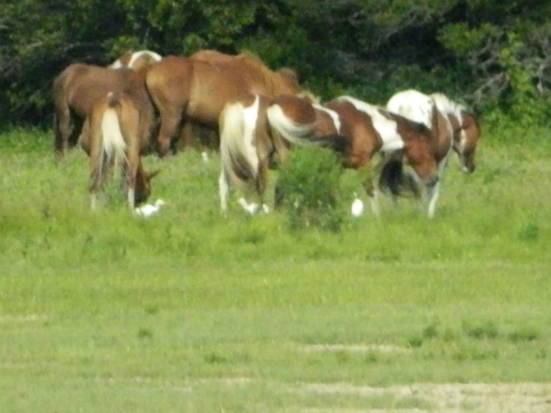 DSCN2267.JPG