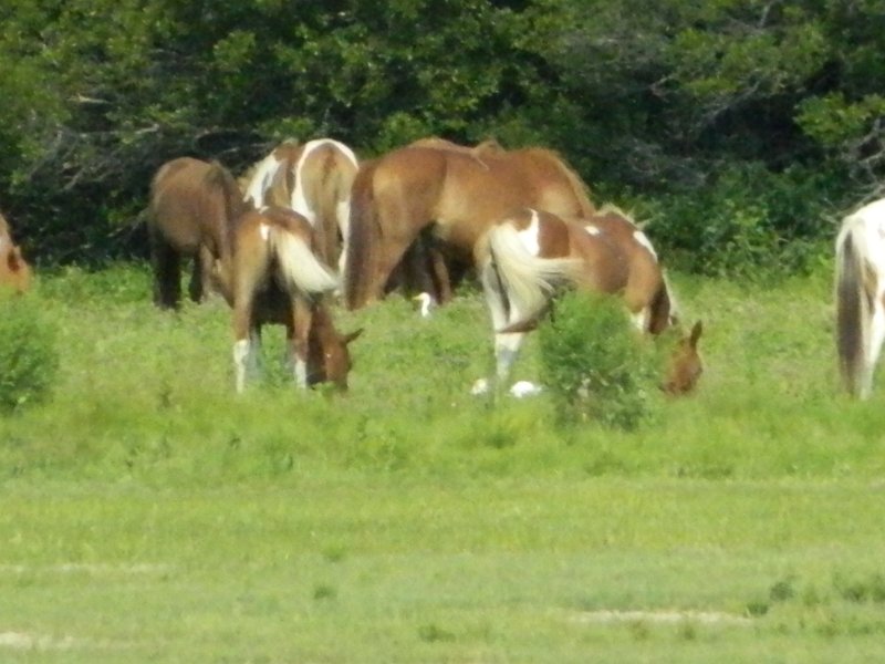 DSCN2268.JPG