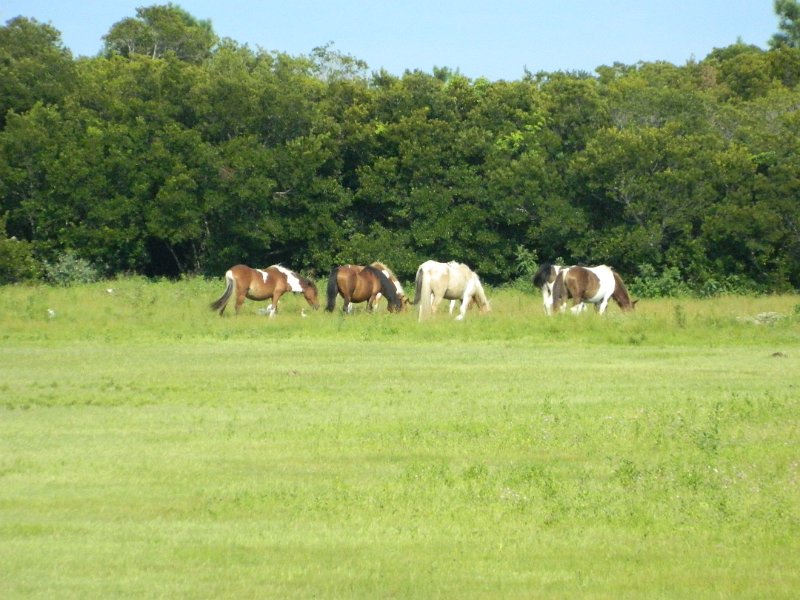 DSCN2271.JPG