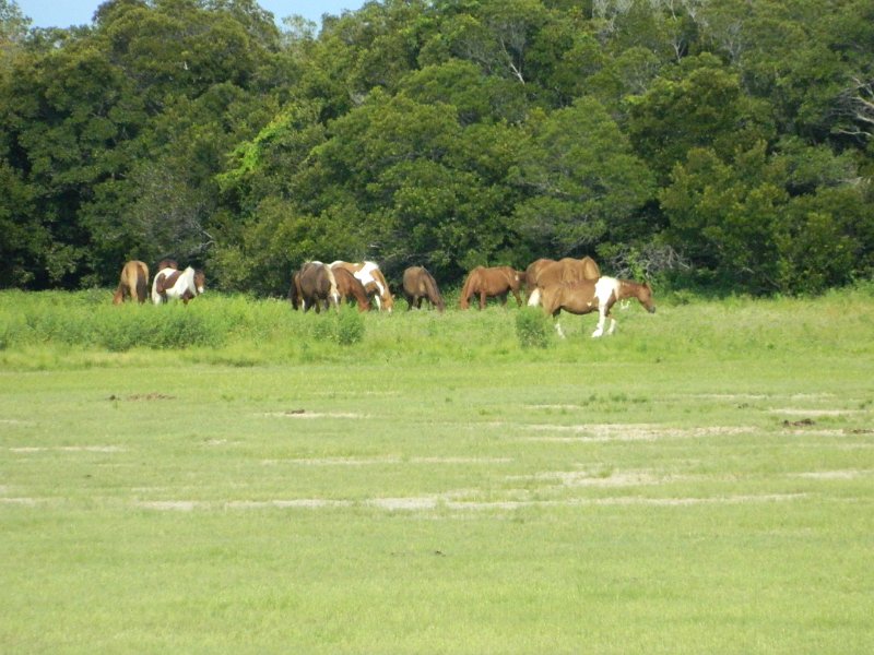DSCN2272.JPG