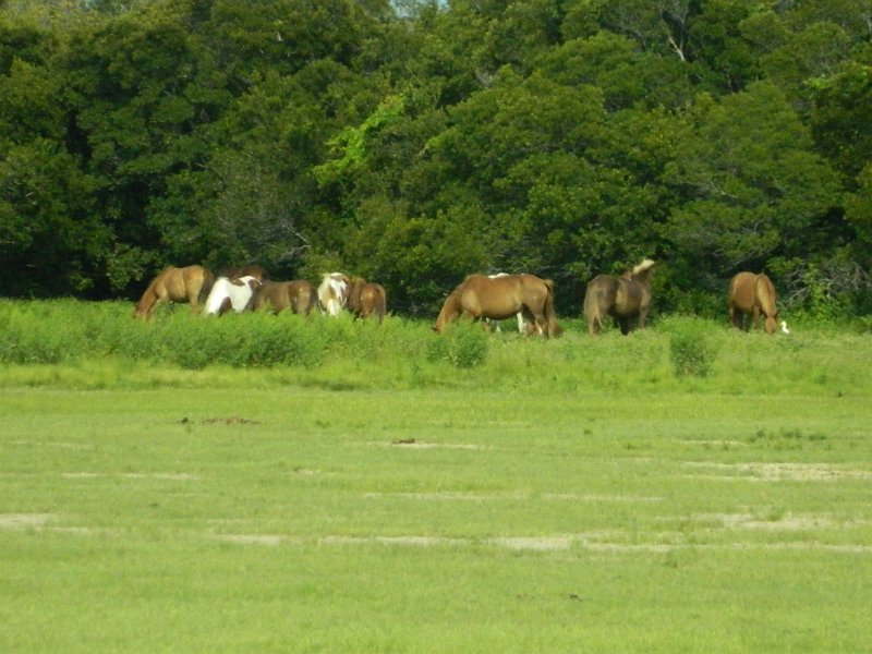 DSCN2273.JPG