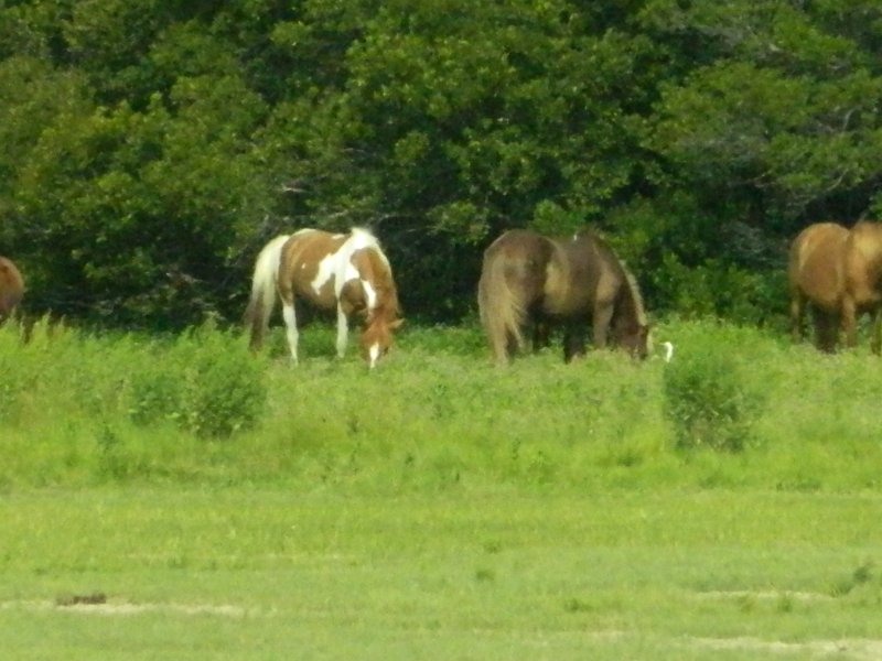 DSCN2274.JPG