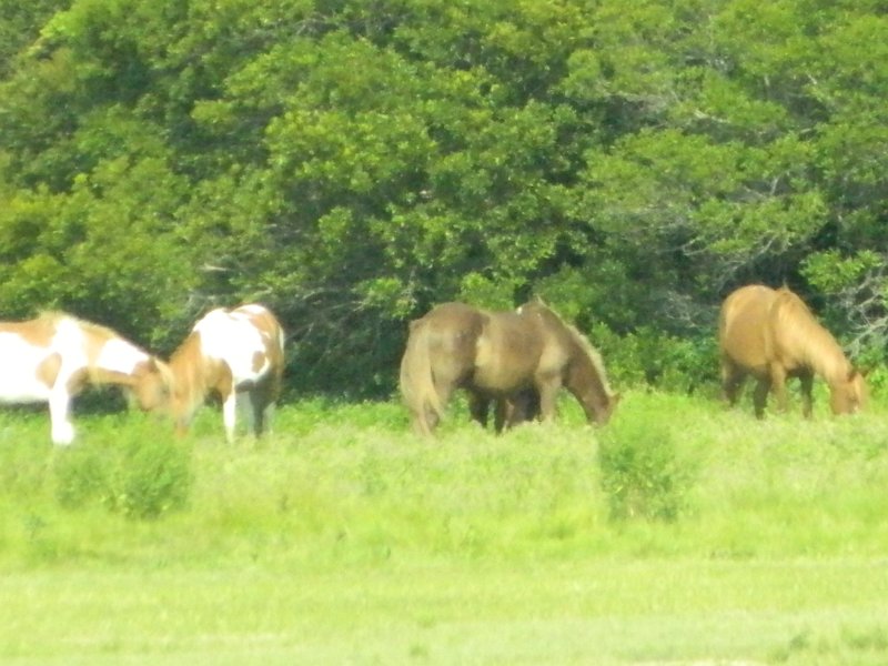 DSCN2275.JPG