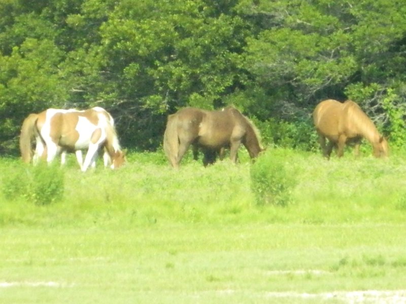 DSCN2276.JPG